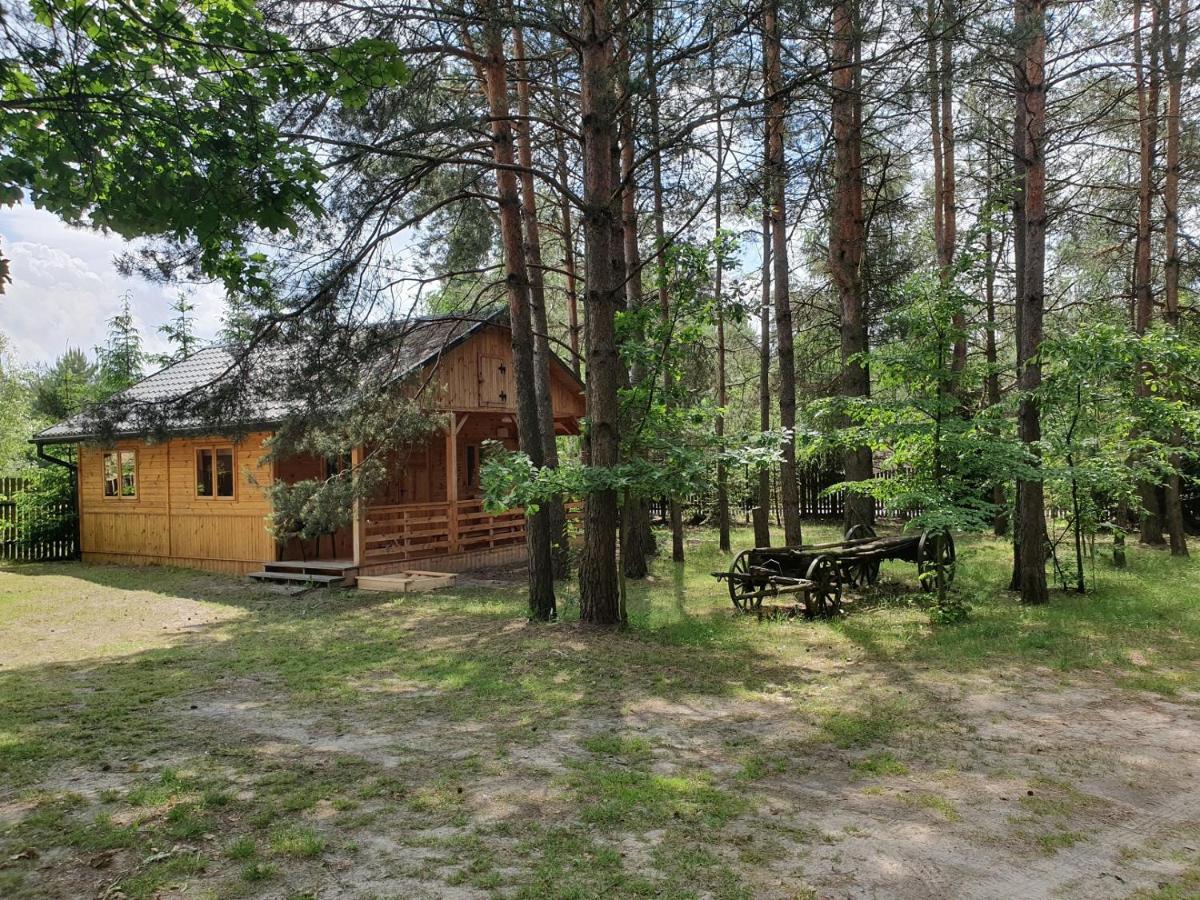 Roztocze U Aleksa Susiec - Jacuzii , Goraca Balia!!! Villa Kültér fotó