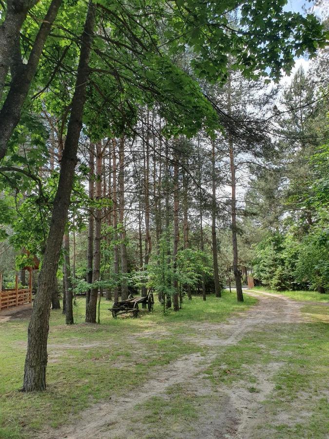 Roztocze U Aleksa Susiec - Jacuzii , Goraca Balia!!! Villa Kültér fotó